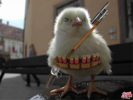 LOGOTIPO DE THE CHICKEN CHINESSE